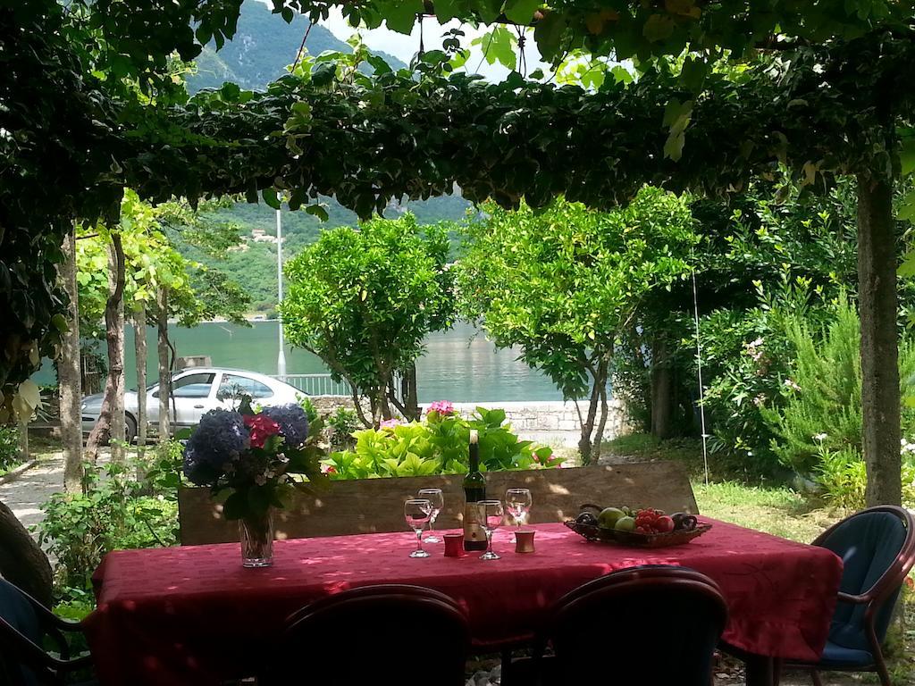 Apartments Vido Kotor Rum bild