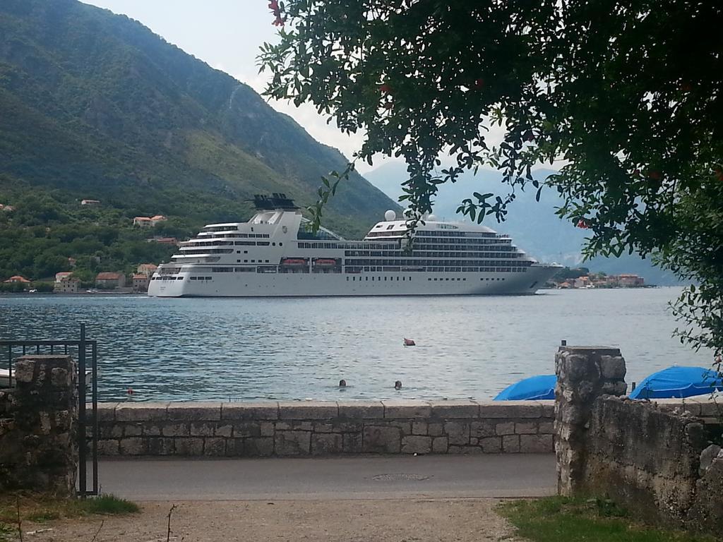 Apartments Vido Kotor Rum bild