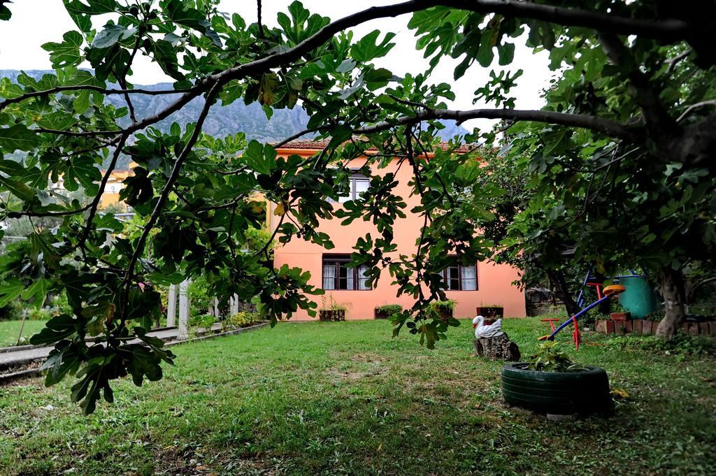 Apartments Vido Kotor Exteriör bild