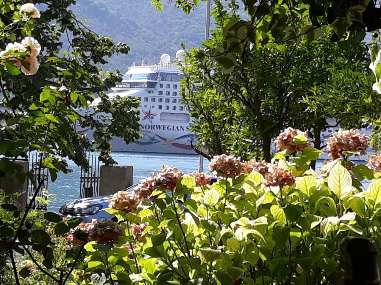 Apartments Vido Kotor Exteriör bild